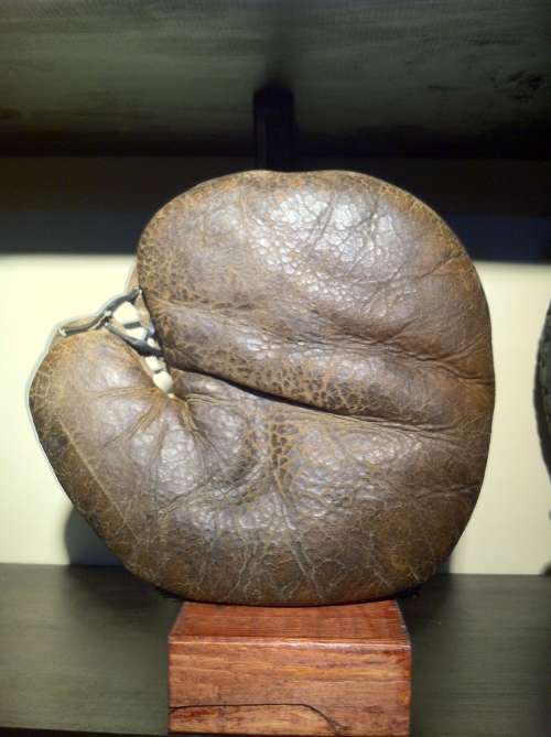 A.J. Reach Fielders Mitt Front